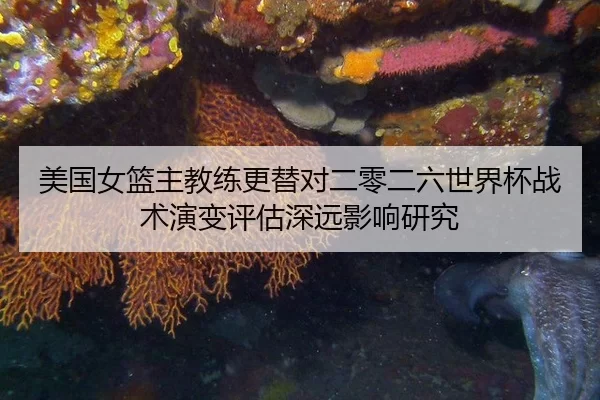 mei-guo-nv-lan-zhu-jiao-lian-geng-ti-dui-er-ling-er-liu-shi-jie-bei-zhan-shu-yan-bian-ping-gu-shen-yuan-ying-xiang-yan-2-905.jpg